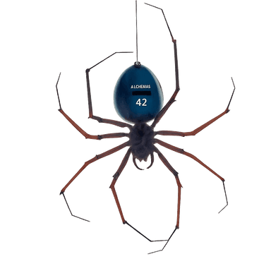 Spider
